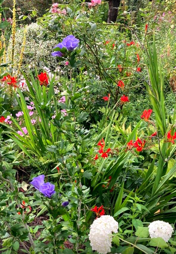 Gorgeous Gardens Gorgeous Gardens